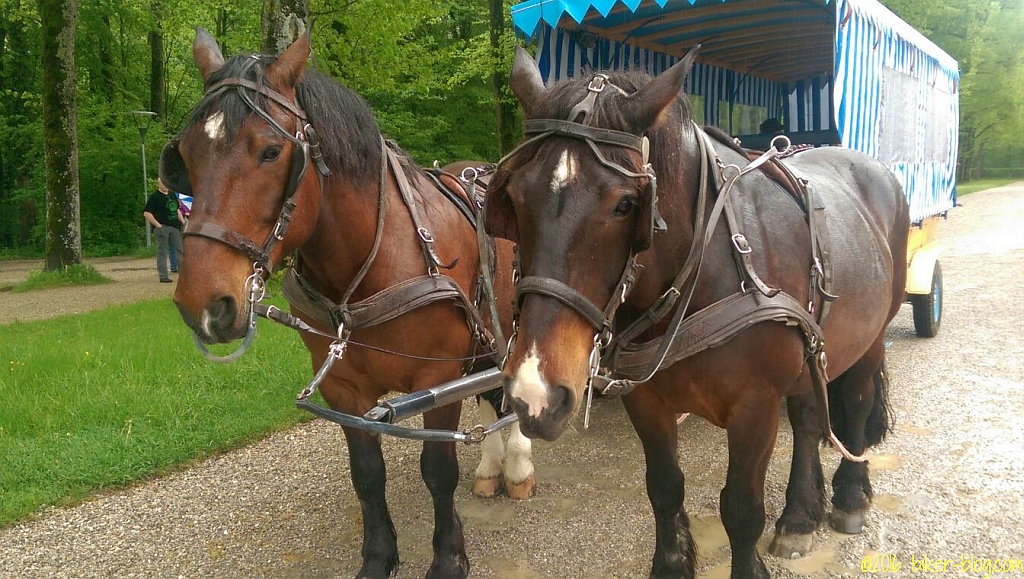 chiemgau pfingsten 2016 003 