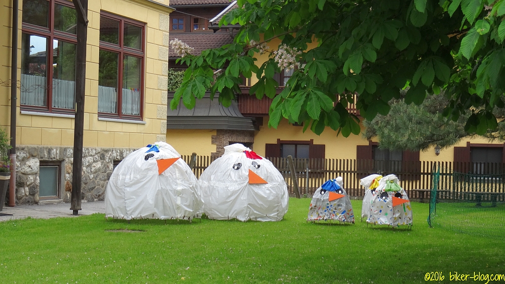 chiemgau pfingsten 2016 054