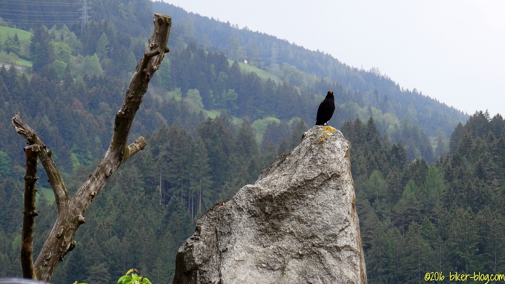 chiemgau pfingsten 2016 060