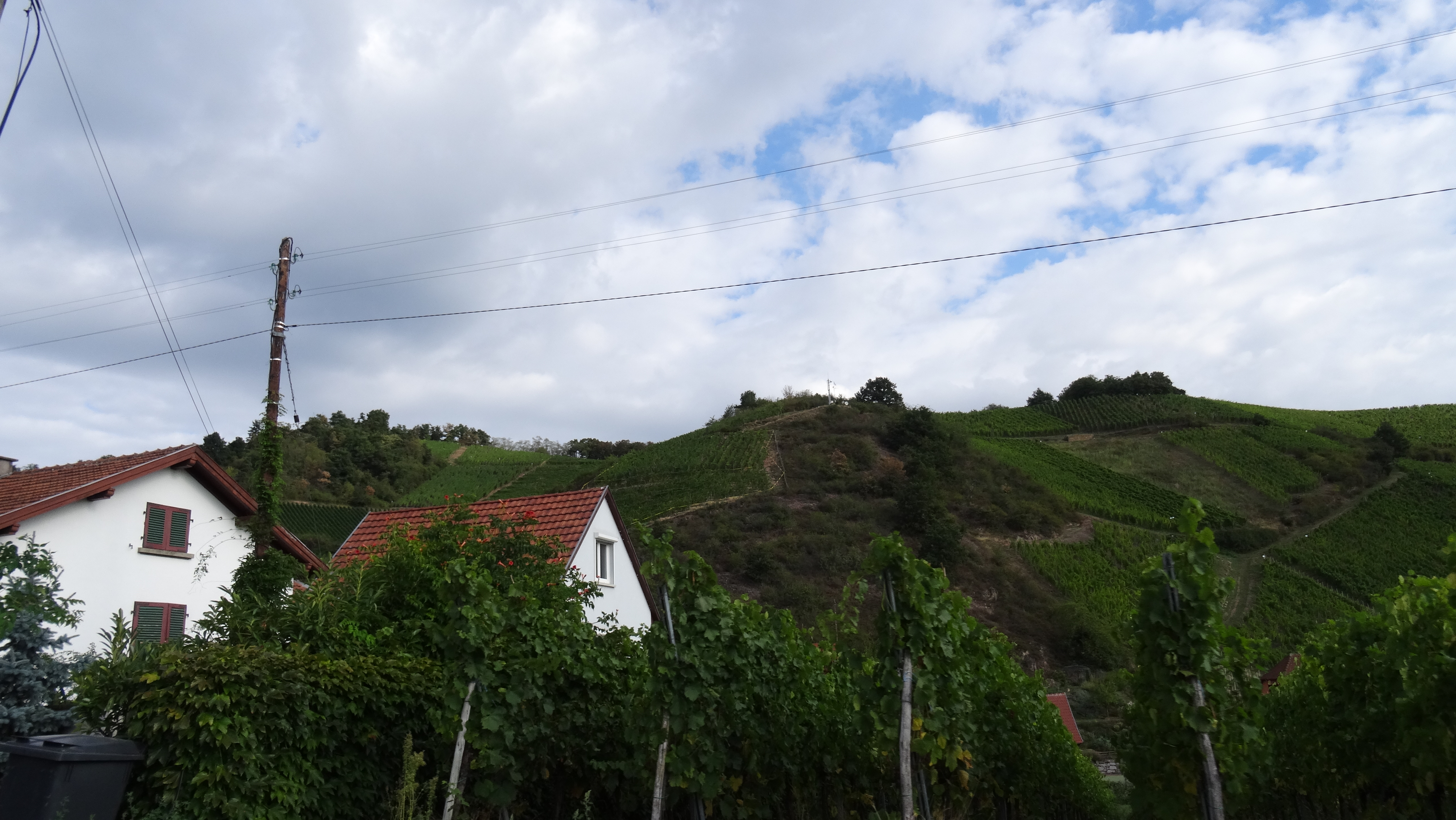 DSC00377 